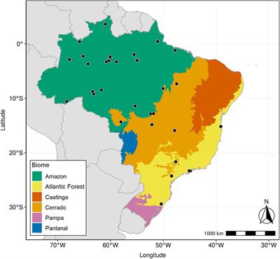 Partitioning of Environmental and Taxonomic Controls on Brazilian Foliar Content of Carbon and Nitrogen and Stable Isotopes